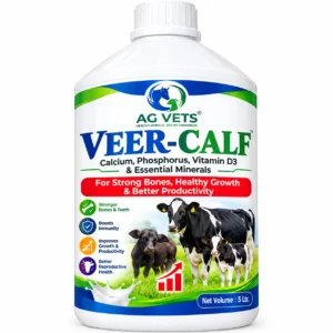 VEER-CALF ( Liquid )